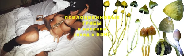 ГАЛЛЮЦИНОГЕННЫЕ ГРИБЫ Армянск