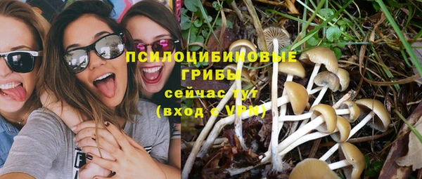 тгк Арсеньев
