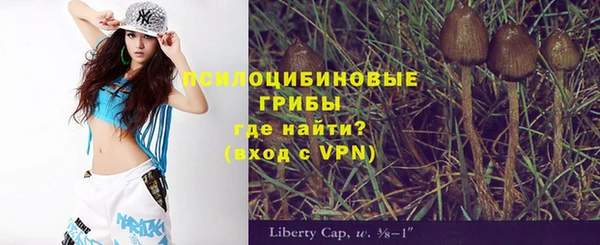 тгк Арсеньев