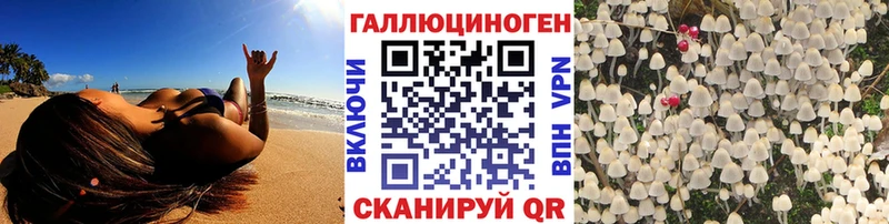 Галлюциногенные грибы GOLDEN TEACHER  это официальный сайт  Урень  купить наркотик  мега сайт 